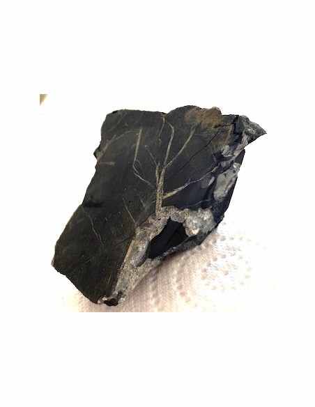 Shungite agrégations diamants