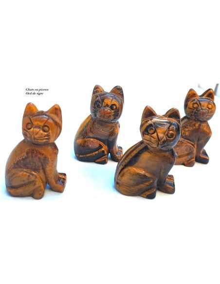 Chat en oeil de tigre