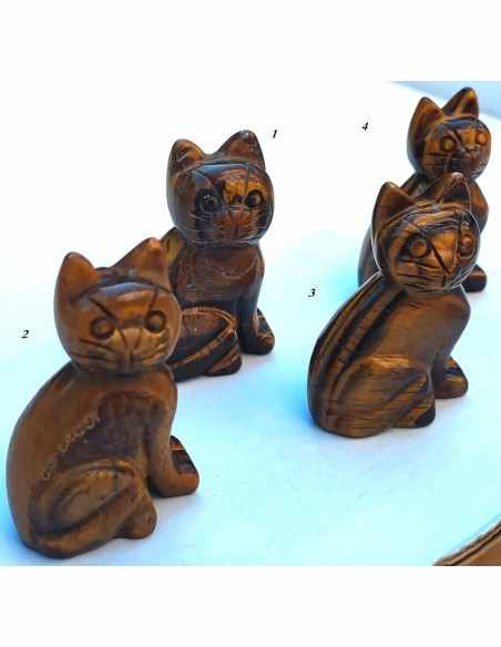 Chat en oeil de tigre