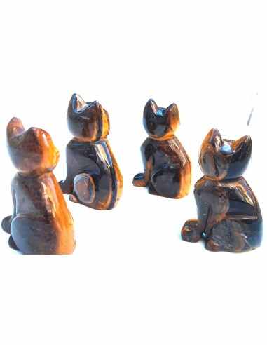 Chat en oeil de tigre