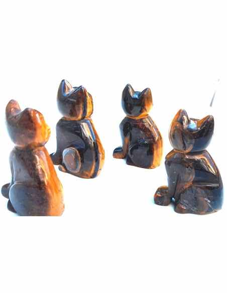 Chat en oeil de tigre