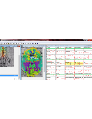 Analyse bioenergetique