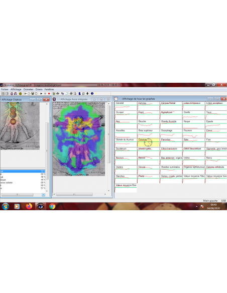 Visualisation de l'aura