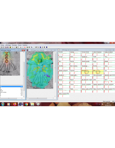 Analyse bioénergétique et harmonisation