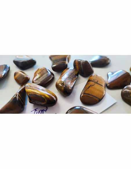 Oeil de tigre orbiculaire