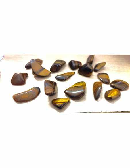 Oeil de tigre orbiculaire