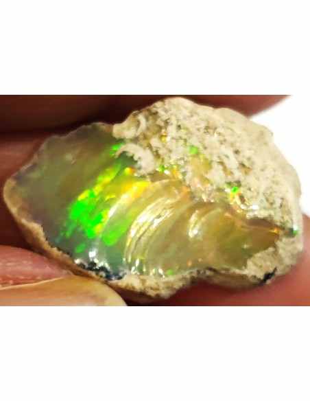 Opale Australie brut