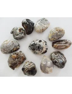 Agate oeil d'argent