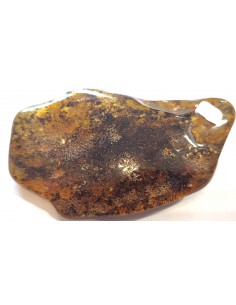 Ambre 30g Morceau 2
