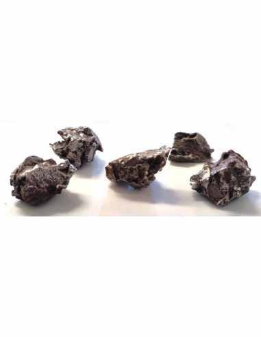 Météorite Argentine 1,7 à 2cm