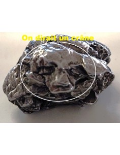 Météorite - Argentine MT1011