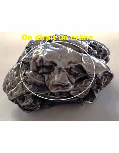 Météorite - Argentine MT1011