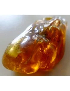 Ambre