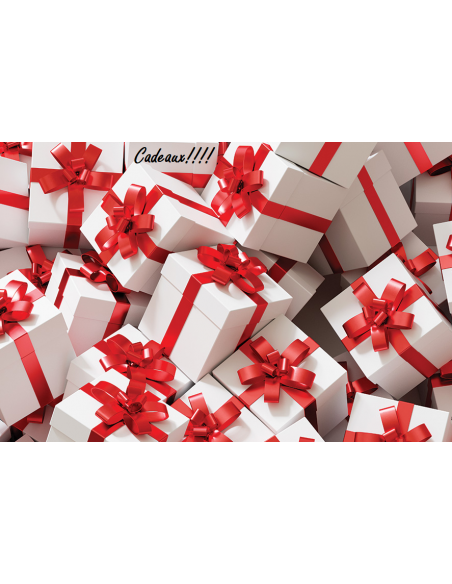 Chèque Cadeau 500€