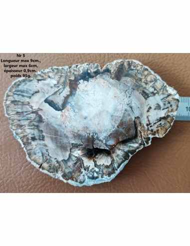 Tranche bois fossilisé