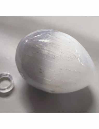 Oeuf Sélénite