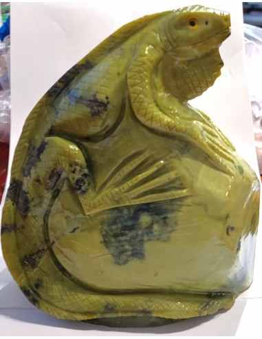 Iguane pierre serpentine