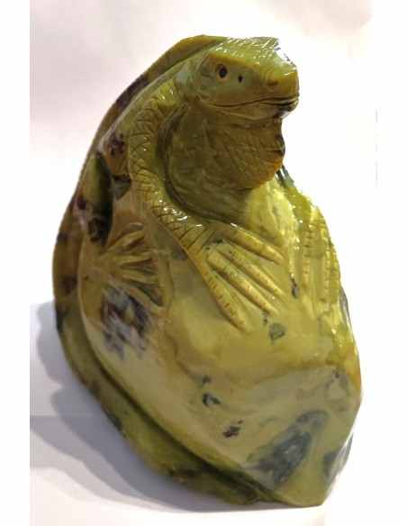 Iguane pierre serpentine
