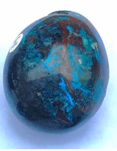Chrysocolle Oeuf