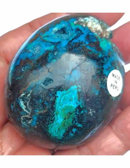 Chrysocolle Oeuf
