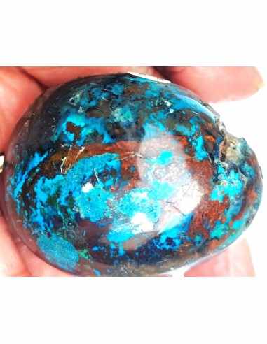 Chrysocolle Oeuf