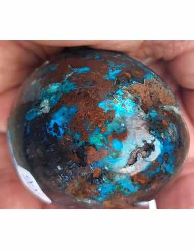 Chrysocolle Oeuf