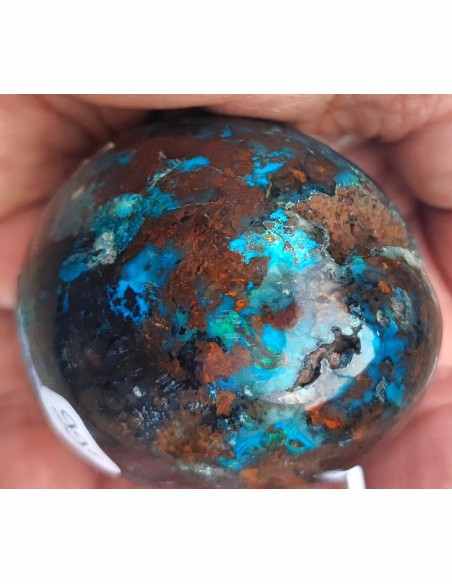 Chrysocolle Oeuf