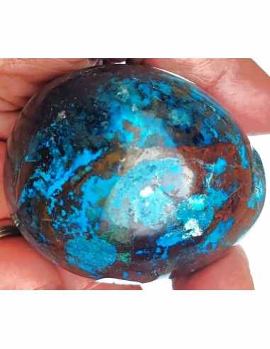 Chrysocolle Oeuf