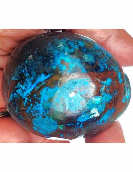 Chrysocolle Oeuf