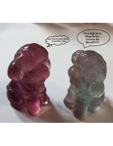 Chien tout doux pierre