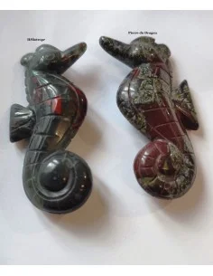 Hippocampe en pierre