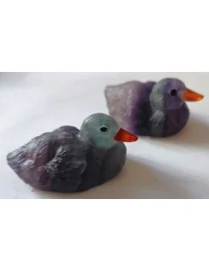 Canard pierre fluorine 2
