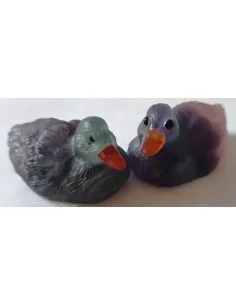 Canard pierre fluorine
