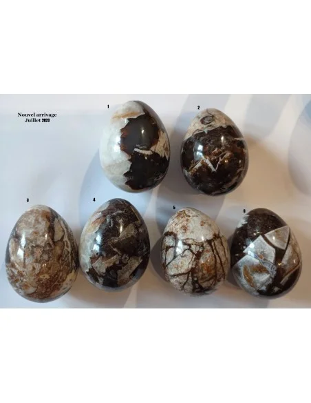 Oeuf en Celestobarite