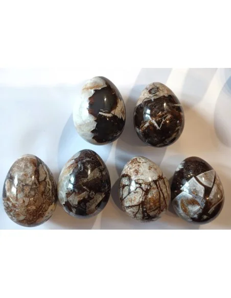 Oeuf en Celestobarite