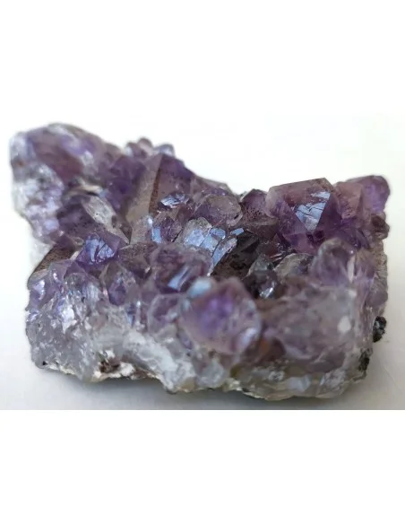 Géode fleur Amethyste Vera Cruz