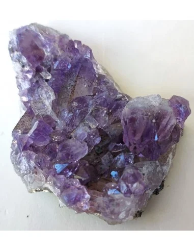 Géode fleur Amethyste Vera Cruz