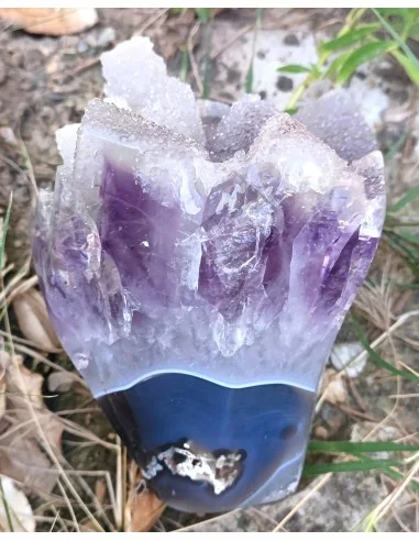 Bouquet améthyste cactus