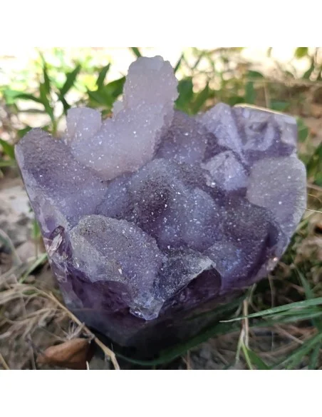 Bouquet améthyste cactus