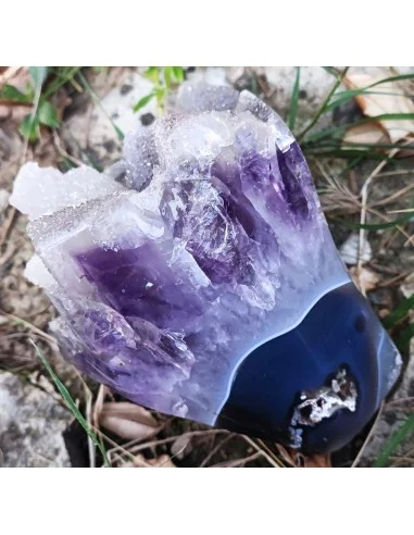 Bouquet améthyste cactus