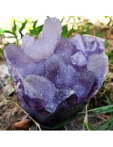 Bouquet améthyste cactus