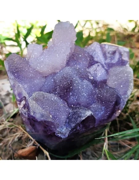 Bouquet améthyste cactus