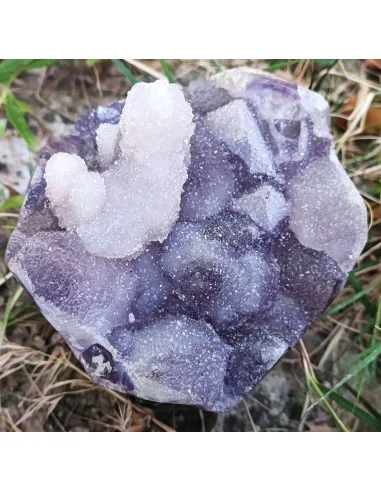 Bouquet améthyste cactus