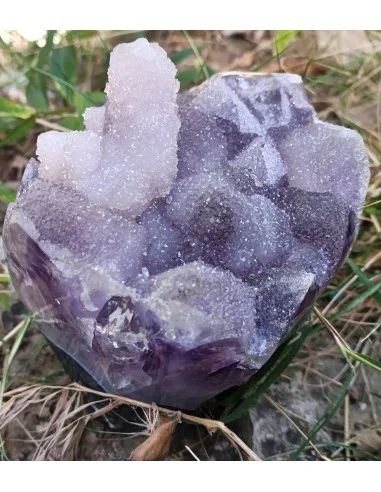 Bouquet améthyste cactus