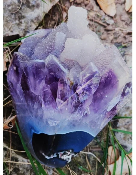 Bouquet améthyste cactus