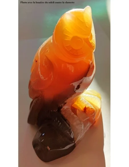 Chouette agate cornaline