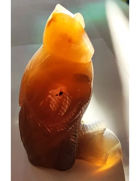 Chouette agate cornaline