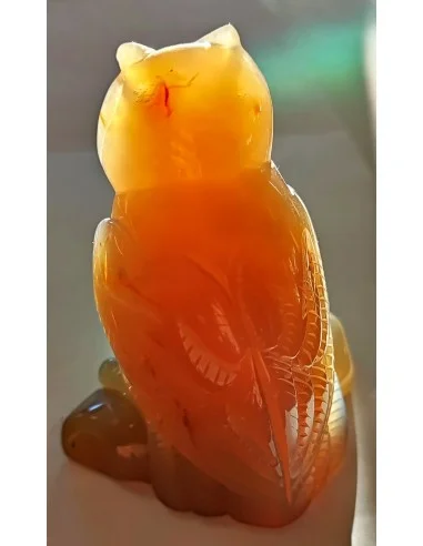 Chouette agate cornaline