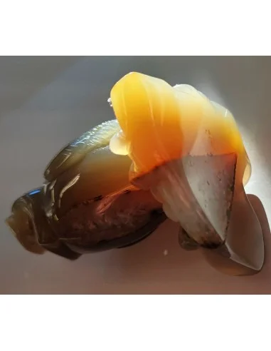 Chouette agate cornaline