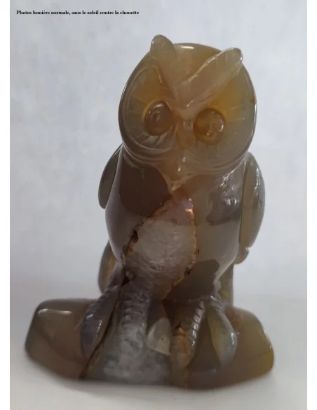 Chouette agate cornaline